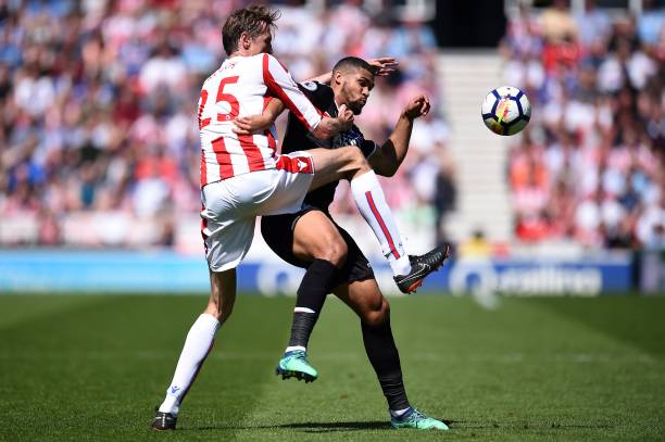 在这篇文章 在这篇文章