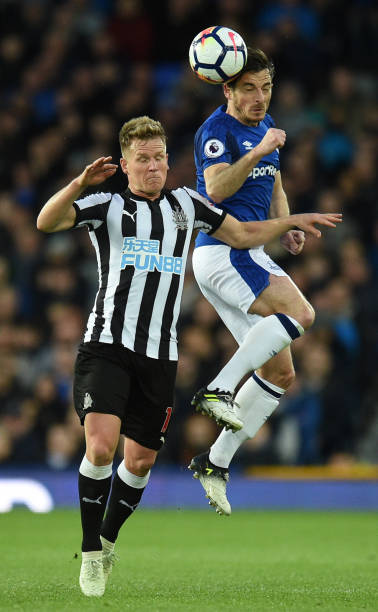 弗里克比肩 弗里克比肩